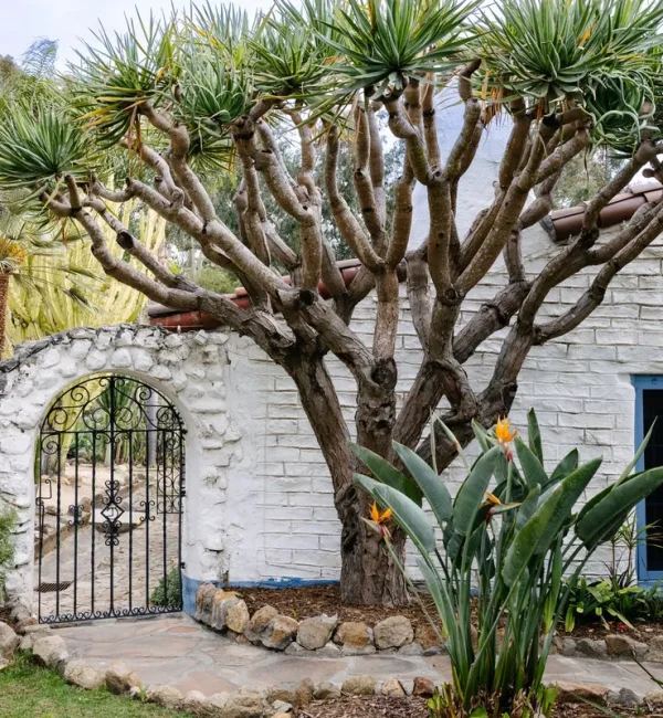 Leo Carrillo Ranch Historic Park Carlsbad CA